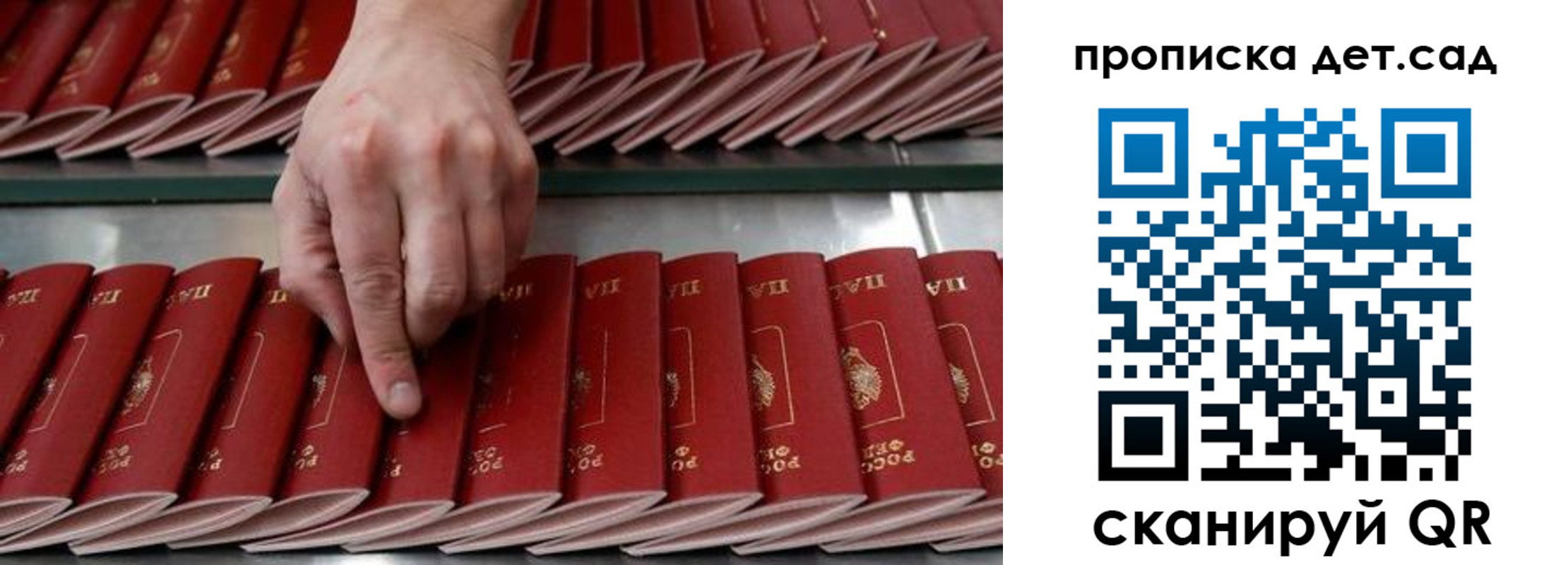 прописка иностранных граждан в Мончегорске