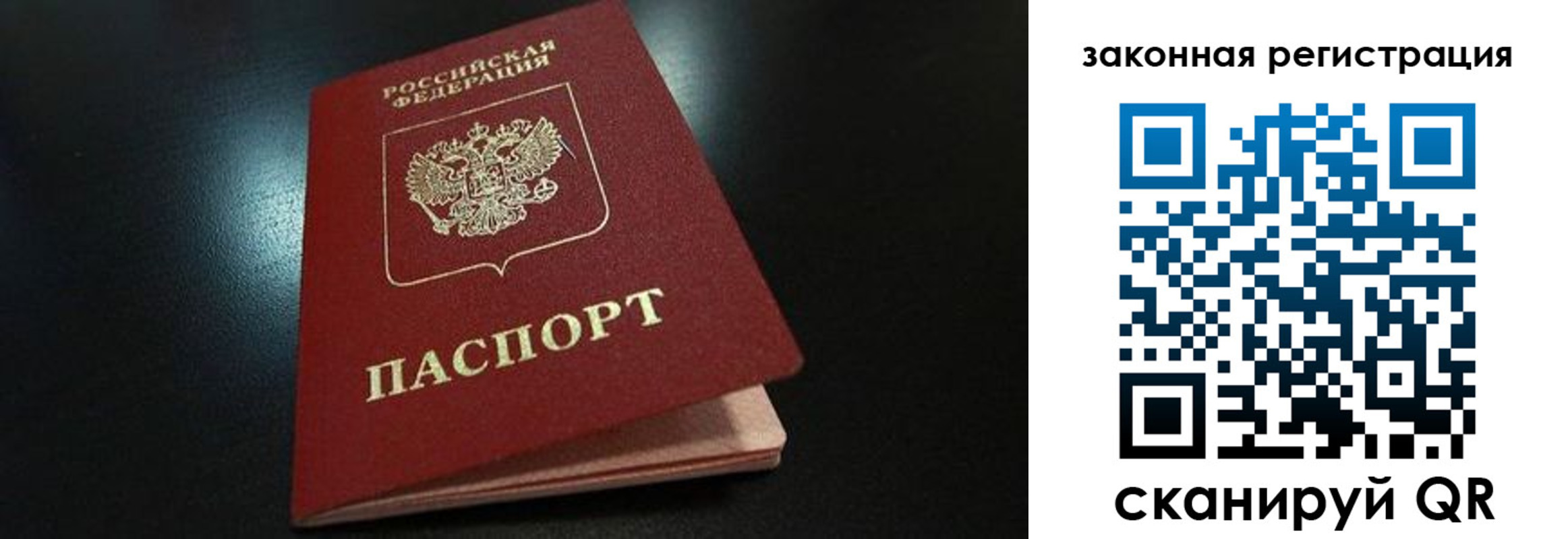 прописка 2025 в Мончегорске
